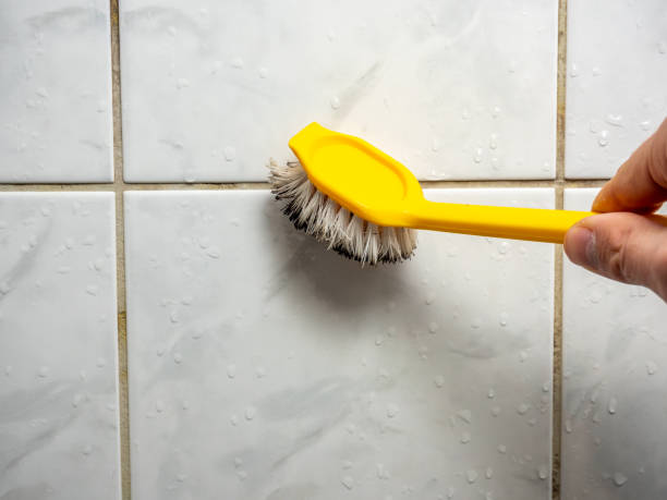 Best Same-Day Mold Removal  in Walnut Creek, CA