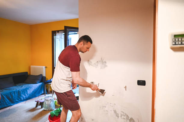 Best Local Mold Removal Service  in Walnut Creek, CA